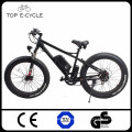 TOP Bafang 8FUN BBS02 48V 750W mid drive motor Fat Tire electric mountain bicycle / electric bike in China